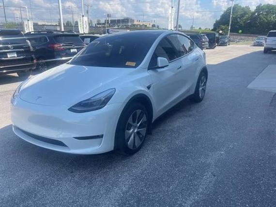 TESLA MODEL Y 2023 7SAYGDEE0PF673671 image